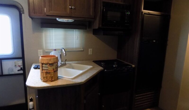 2015 Coleman CTS295 full