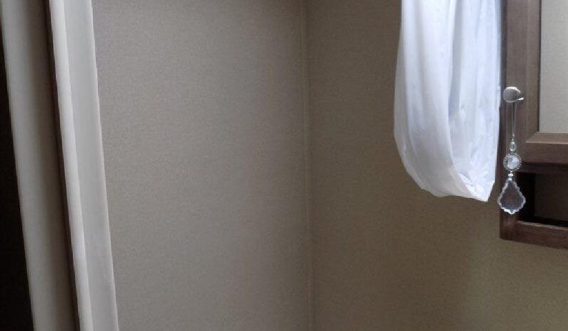 2015 Coleman CTS295 full