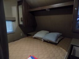 2015 Coleman CTS295 full