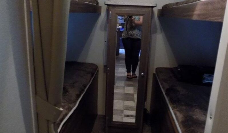 2015 Coleman CTS295 full